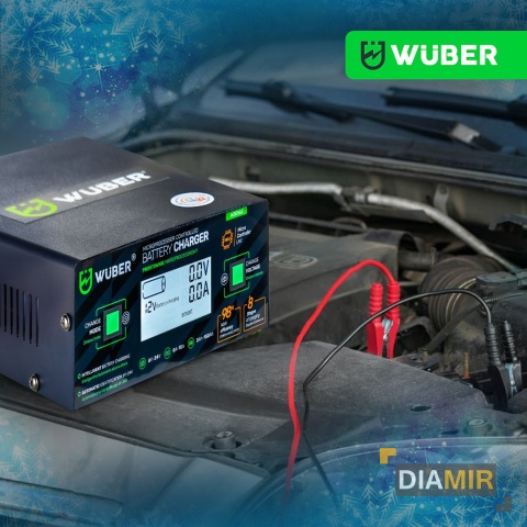 PROSTOWNIK 6/8/12/14/16/24V MIKROPROCESOROWY ŁADOWARKA DO AKUMULATORA 10A