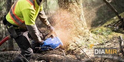 PIŁA SPALINOWA PILARKA ŁAŃCUCHOWA 5,2KM 58cm3 MOCNA + ŁAŃCUCH