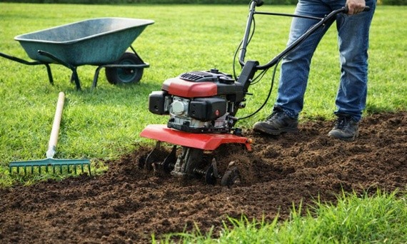 Jak przygotować trawnik po zimie - poradnik krok po kroku